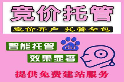 百度竞价推广运营策略解析与实战案例